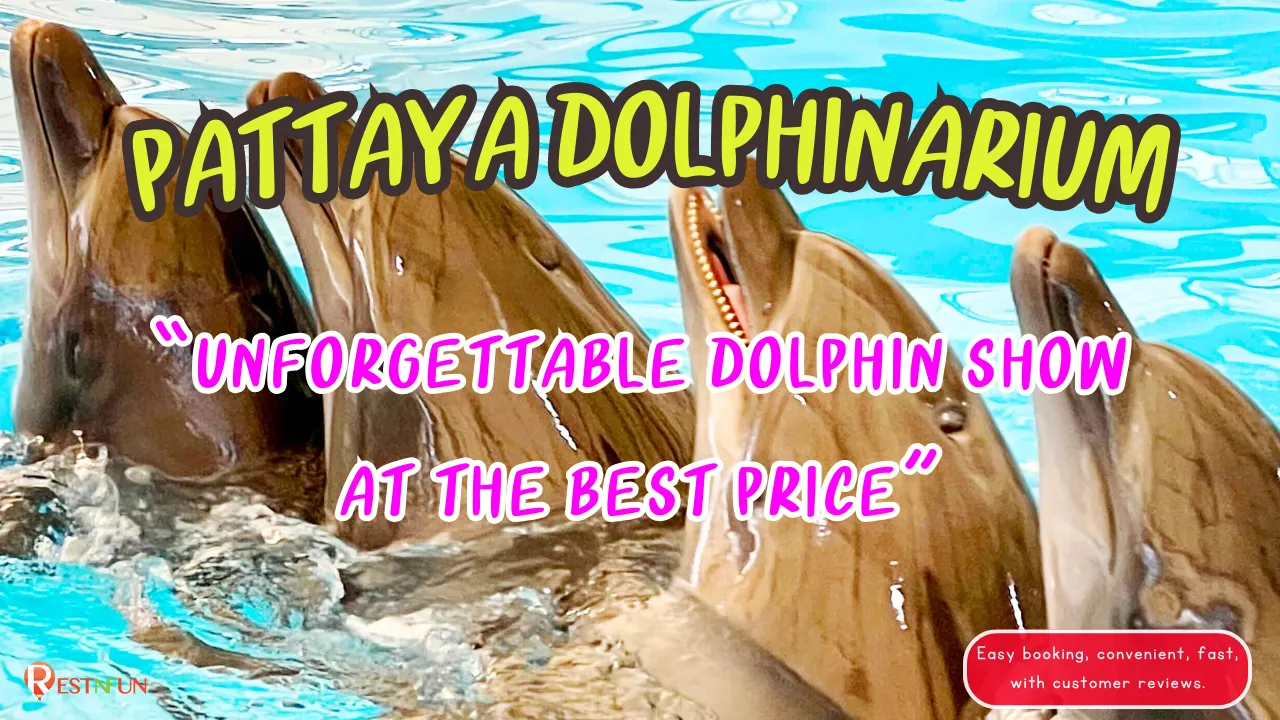 Pattaya Dolphinarium tickets with discount and best price